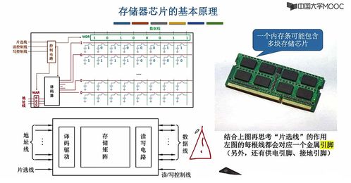 計(jì)算機(jī)組成原理 第三章 存儲系統(tǒng) 2 主存儲器的基本組成