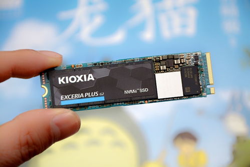 與1tb 2tb同速,鎧俠 原東芝存儲器 rd20 ssd簡評